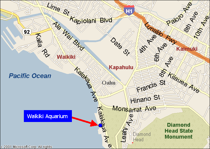 Waikiki Aquarium